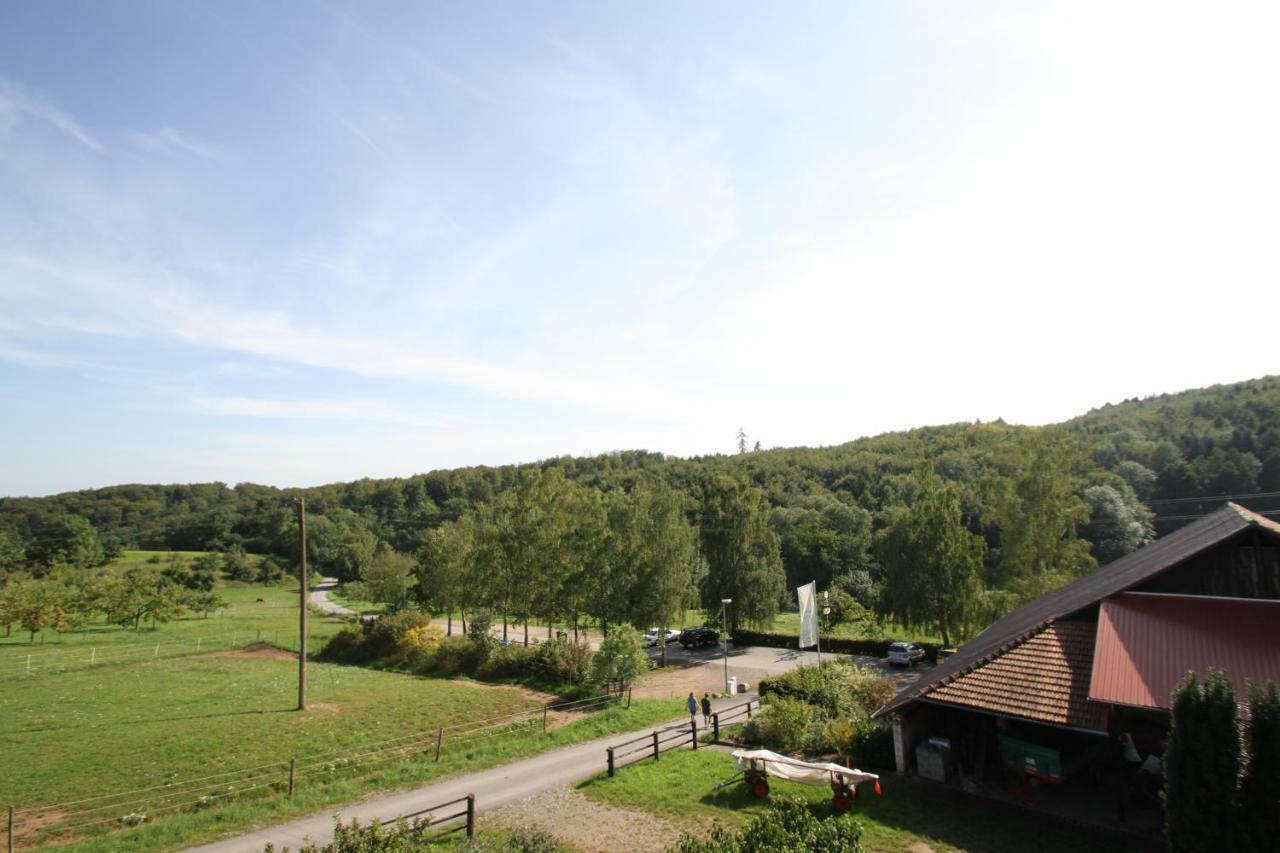 Ferienwohnung Edelbrenner Rimbach  Esterno foto